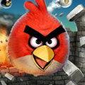 angry birds