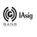 gang and iasig